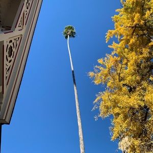 Meet your Posher, Judy